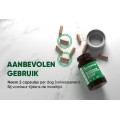 Herboxa Lungwort | Longgezondheidssupplement 