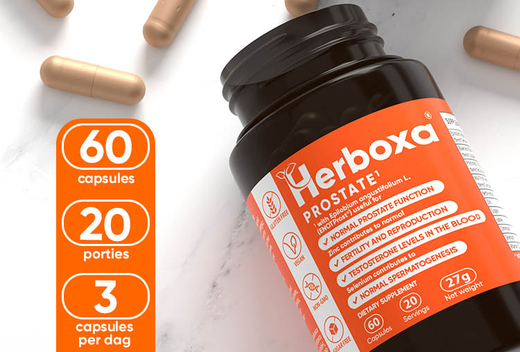 Herboxa PROSTATE | 60 capsules