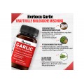 Herboxa Garlic | Hartgezondheidssupplement Herboxa Garlic | Hartgezondheidssupplement