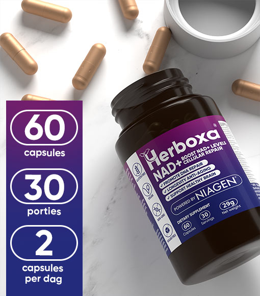 HERBOXA NAD+ - 60 capsules