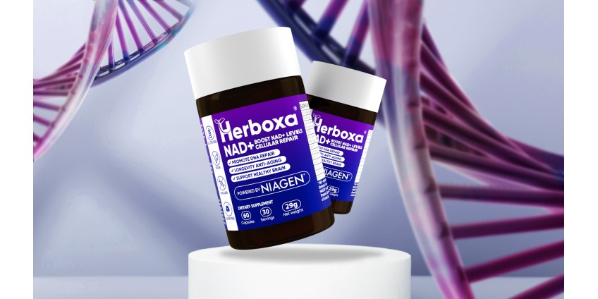 Herboxa® NAD+ | Innovatief Anti-verouderingssupplement