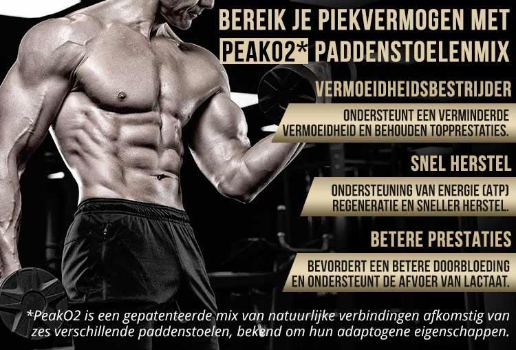 Herboxa Muscle Builder