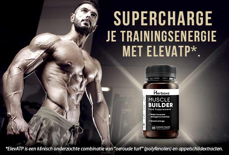 Herboxa Muscle Builder